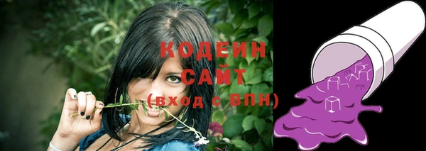 тгк Каменка