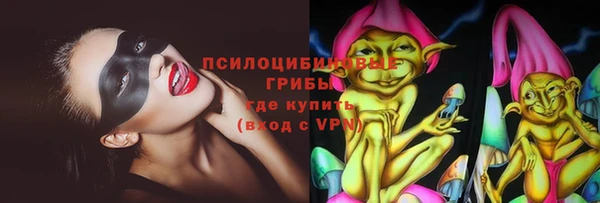 стафф Каменск-Шахтинский
