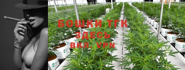крисы Каменногорск