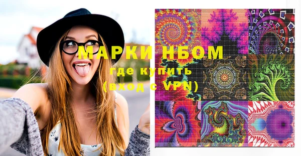 стафф Россошь