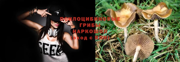 стаф Протвино
