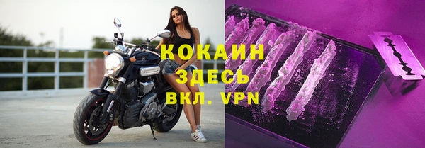 стаф Новозыбков