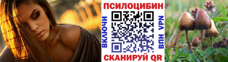 Галлюциногенные грибы Cubensis как найти наркотики Сурск