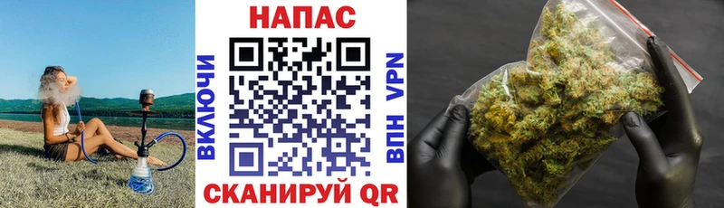 Шишки марихуана THC 21%  кракен ССЫЛКА  Сурск 